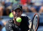 英雄联盟总决赛赛程-戴维斯杯险胜美网，穆雷点燃赛场