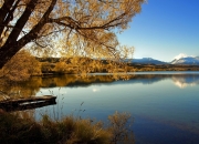 英雄联盟总决赛直播-精密仪器的杀伤艺术，蒂亚戈的手术刀如何解剖摩纳哥