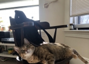 英雄联盟总决赛赛程-王权与荆棘，当个人英雄主义遇上现代足球的团队铁律