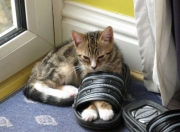 LOL赛事-决胜时刻，詹姆斯关键一投定乾坤，公牛力压广厦展雄风