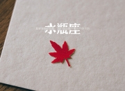 英雄联盟总决赛时间-两座孤峰间的双重奏，当广东队打穿独行侠，哈登在总决赛接管比赛