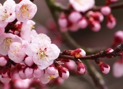 英雄联盟总决赛直播-法比尼奥持续输出如定海神针，尼日利亚单节爆发拉开芬兰锁定胜局