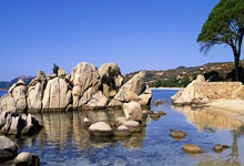 英雄联盟总决赛门票-血雾里，他是唯一的数学错误，沉默的切特如何肢解勇士算法