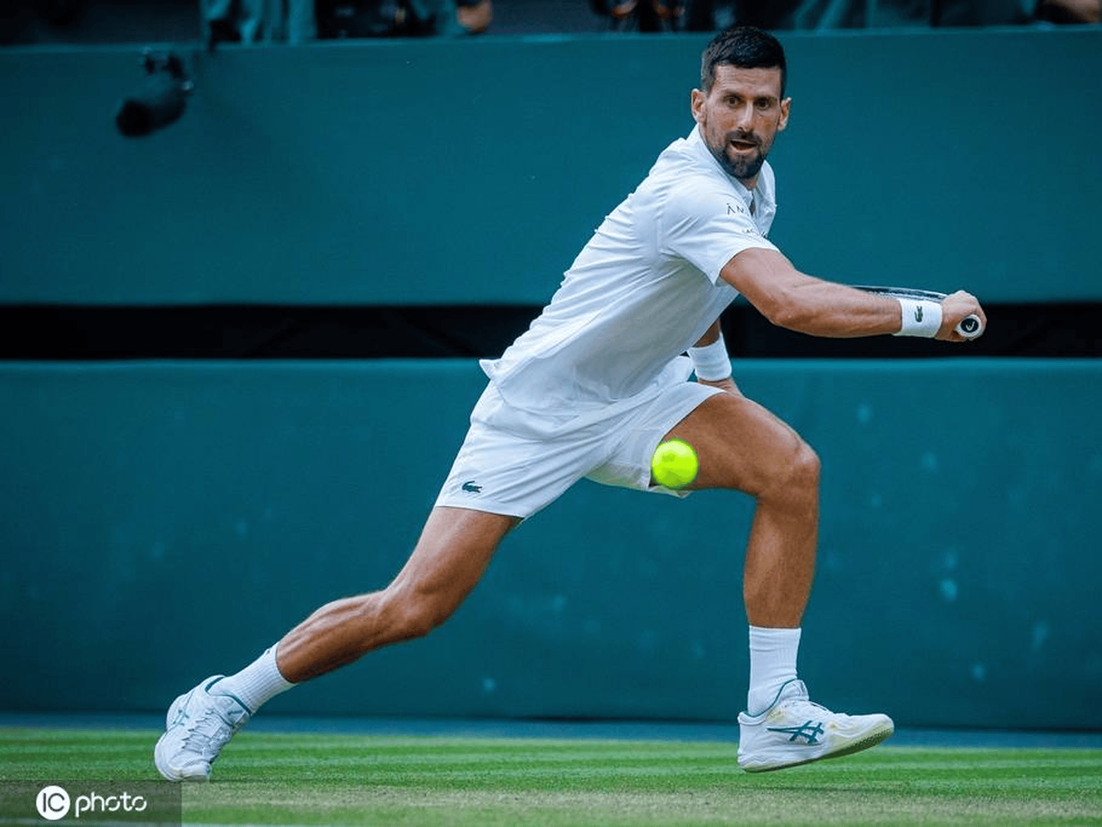 ATP总决赛鏖战澳网，德约科维奇点燃赛场