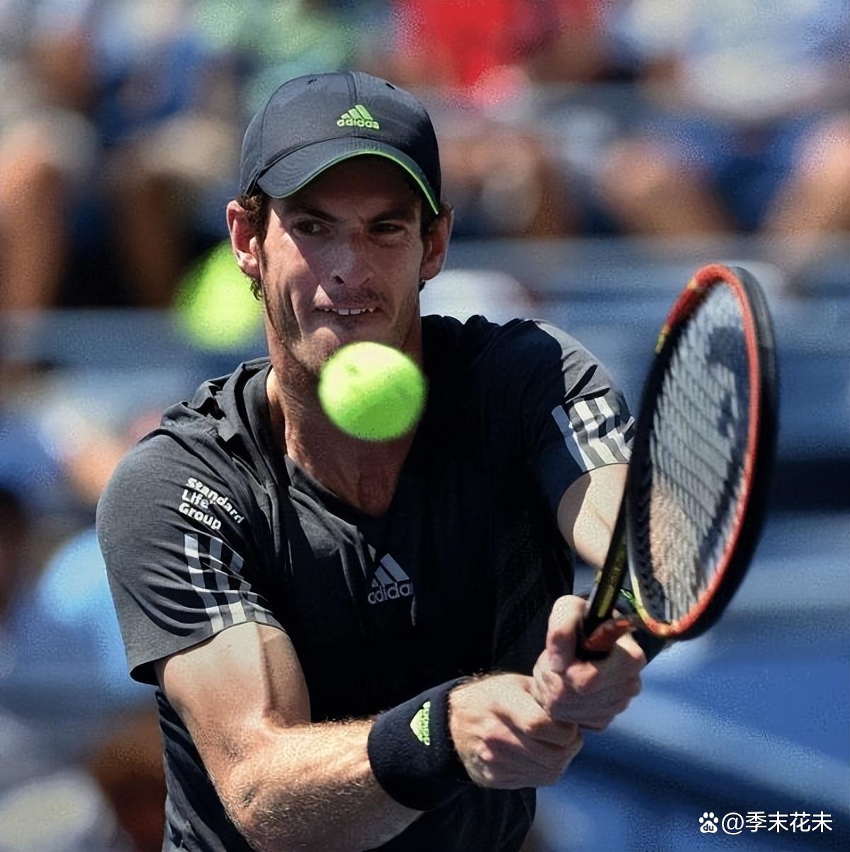 戴维斯杯险胜美网，穆雷点燃赛场