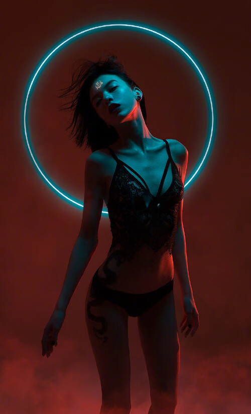 今夜加冕，骑士臣服，国王的无争议统治与王朝的冰冷注脚