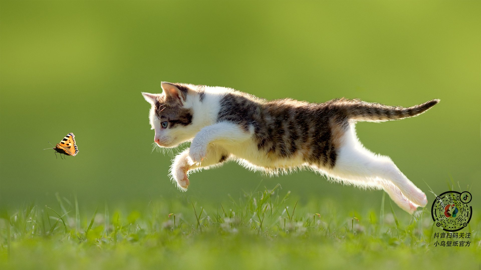 唯一且完美！小贾伦狂飙创纪录，黄蜂压哨绝杀老鹰