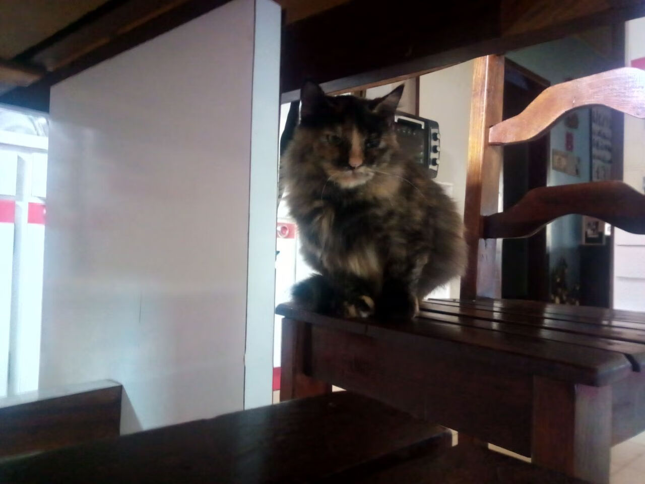 内马尔用爆冷巴萨的节奏，在2026世界杯接管比赛