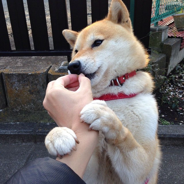 突尼斯之墙倾颓记，当黄喜灿在西班牙心脏撕开铁血防线