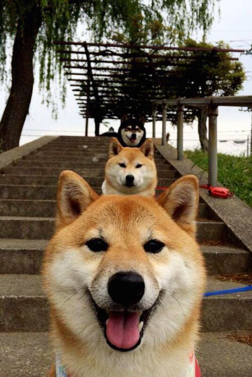 北非沙漠的惊雷，当突尼斯用阿拉巴的左脚，在伯纳乌写下天方夜谭